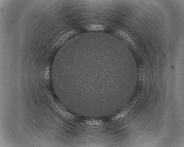 X0000087670549200705181707