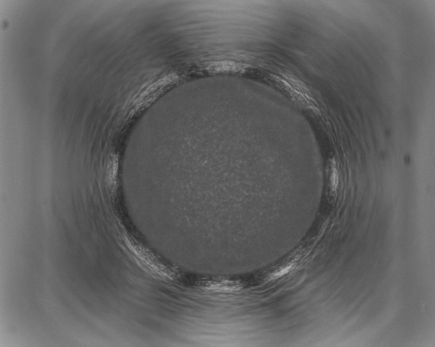 X0000087670550200705181707