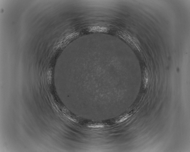 X0000087670551200705181707