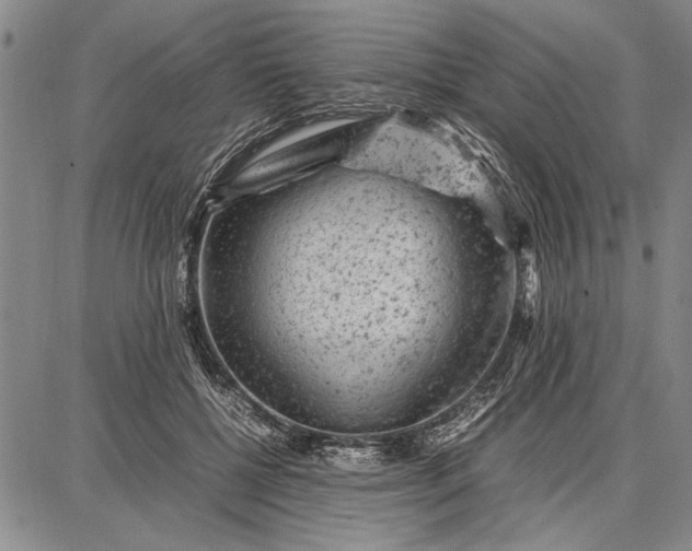 X0000087670552200705181707