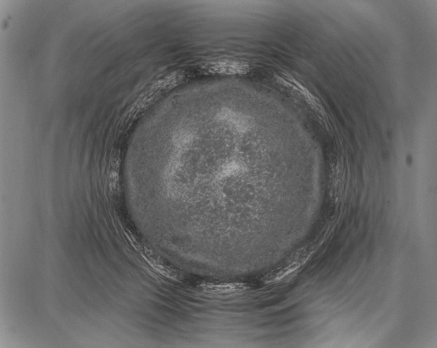 X0000087670553200705181707