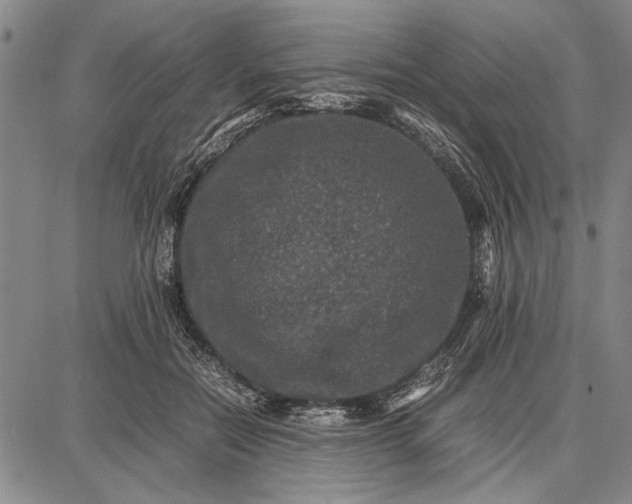 X0000087670554200705181707