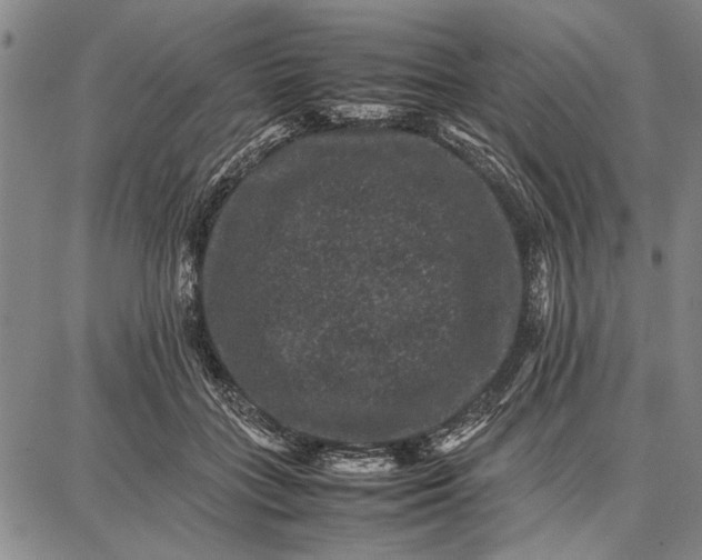 X0000087670555200705181707