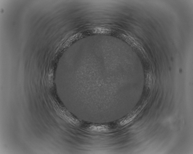 X0000087670557200705181707