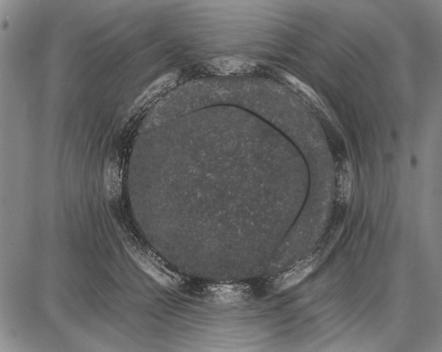 X0000087670558200705181707