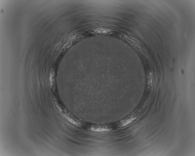 X0000087670559200705181707