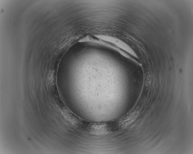 X0000087670560200705181707