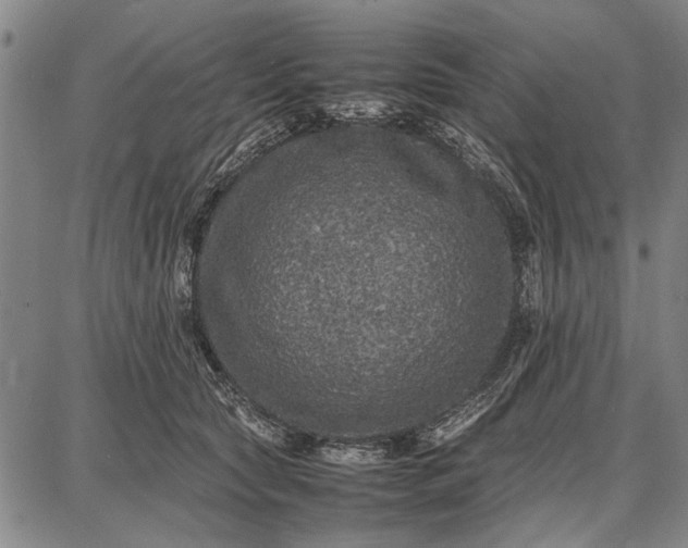 X0000087670561200705181707