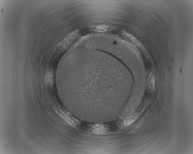 X0000087670562200705181707