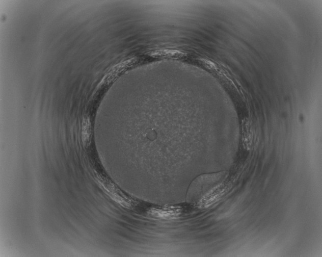 X0000087670563200705181707