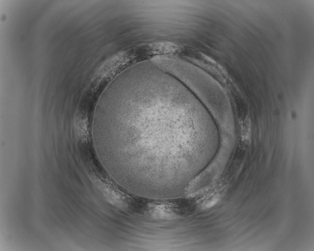 X0000087670564200705181707