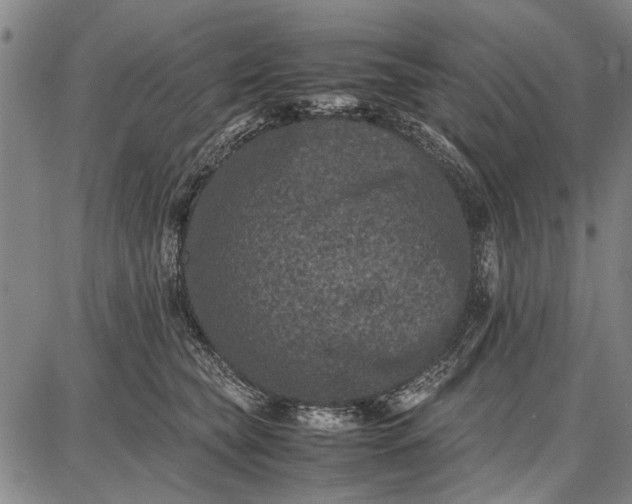 X0000087670565200705181707