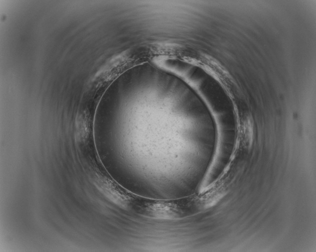 X0000087670566200705181707