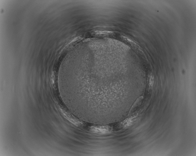 X0000087670567200705181707