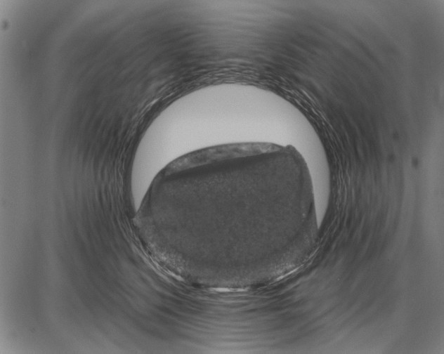 X0000087670568200705181707