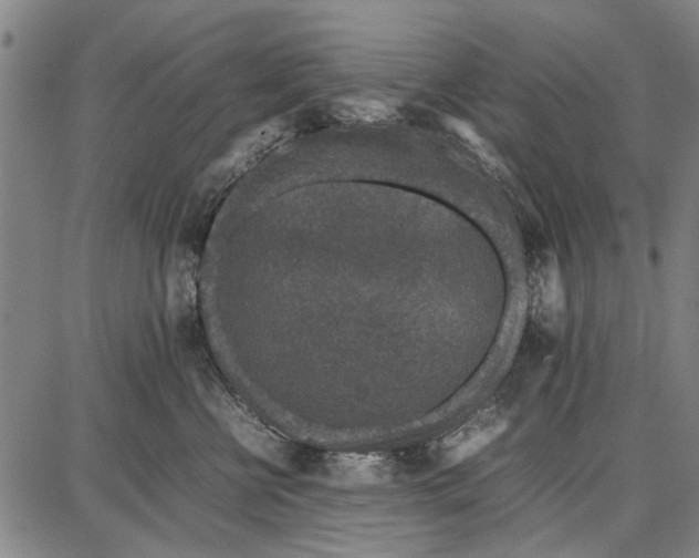 X0000087670570200705181707