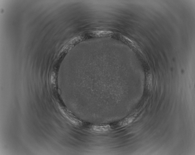 X0000087670571200705181707