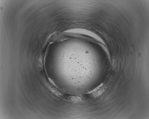 X0000087670572200705181707