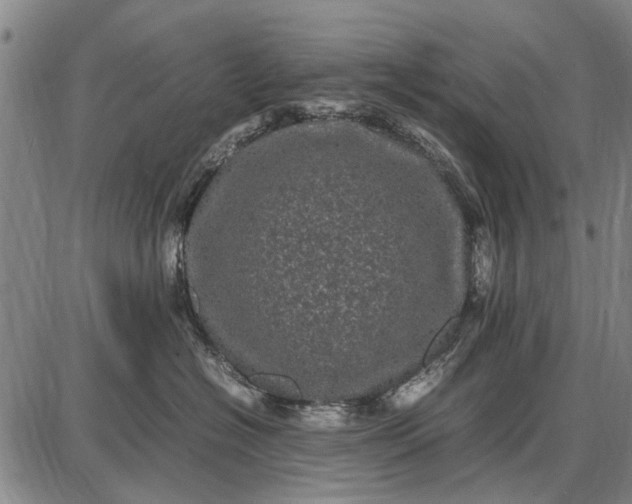 X0000087670574200705181708