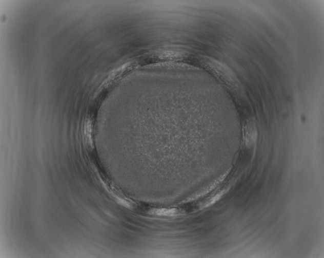 X0000087670575200705181708