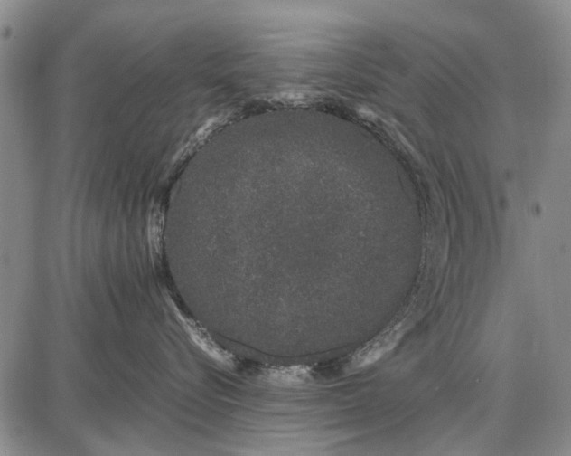 X0000087670576200705181708