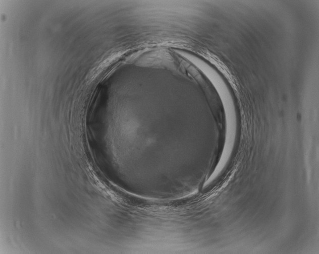 X0000087670577200705181707