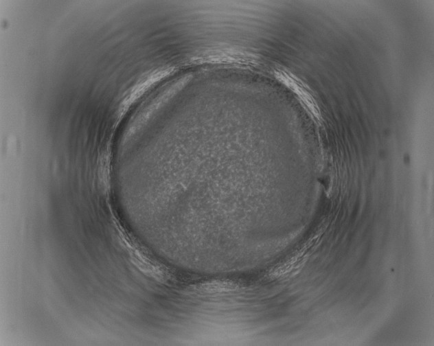 X0000087670578200705181707