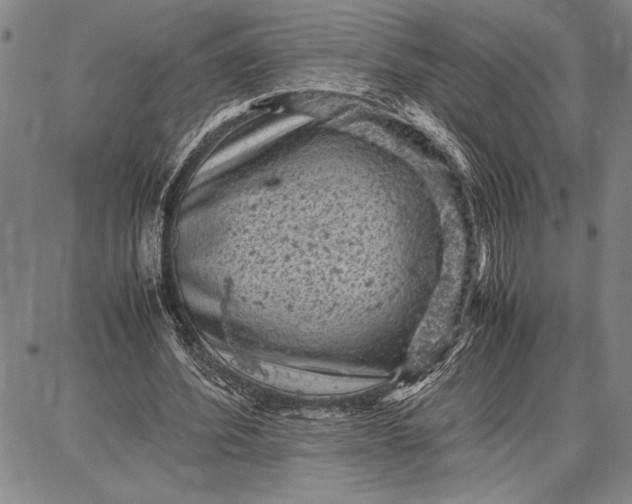 X0000087670580200705181707