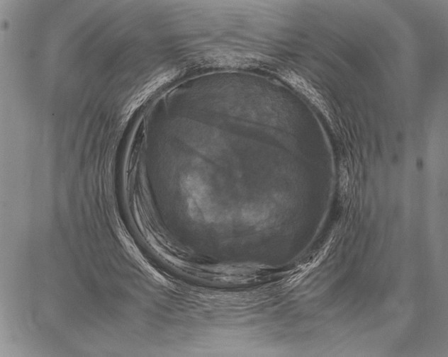 X0000087670581200705181707