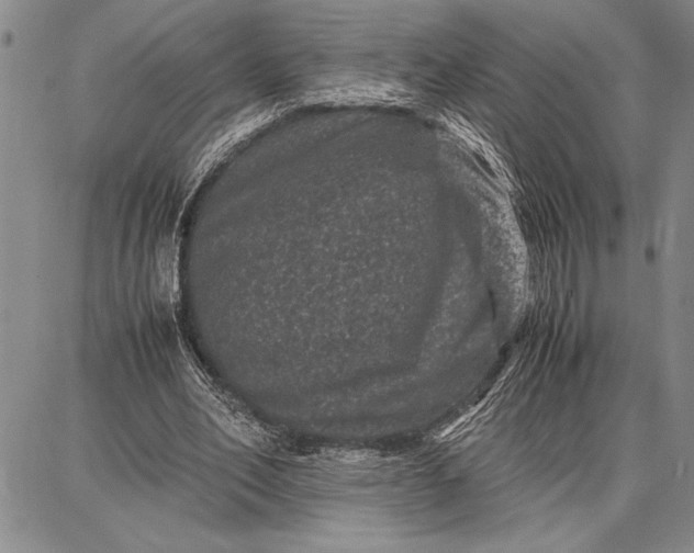 X0000087670582200705181707