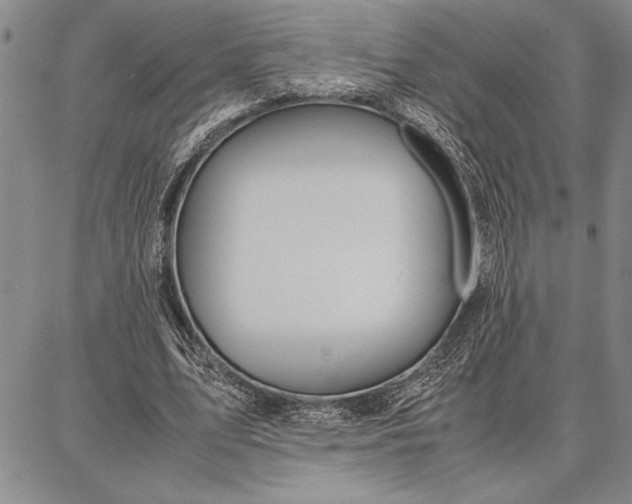 X0000087670583200705181707