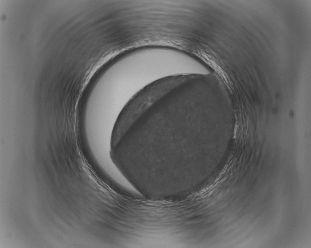 X0000087670584200705181707