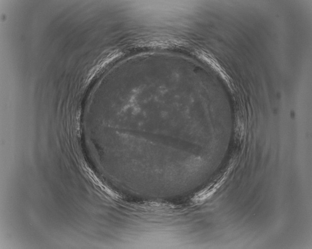 X0000087670585200705181707