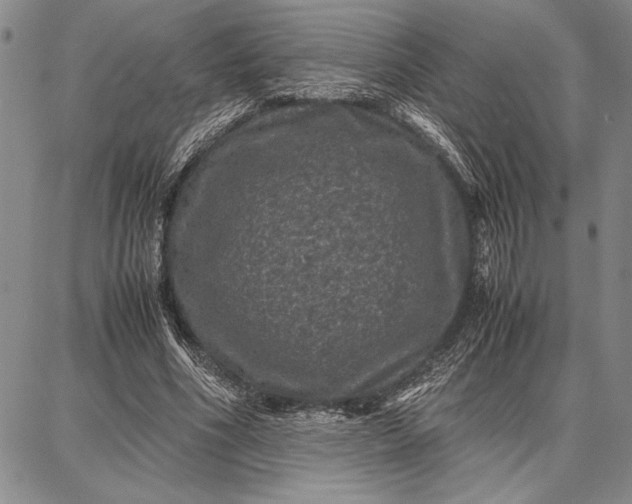 X0000087670586200705181707