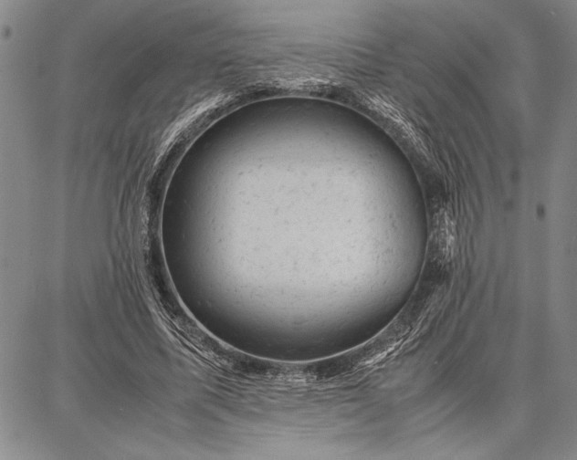 X0000087670587200705181707