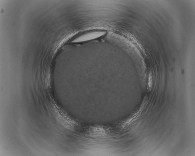 X0000087670588200705181707