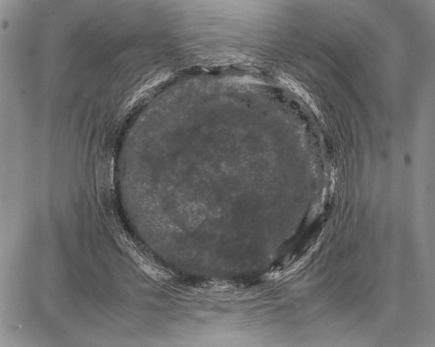 X0000087670589200705181707