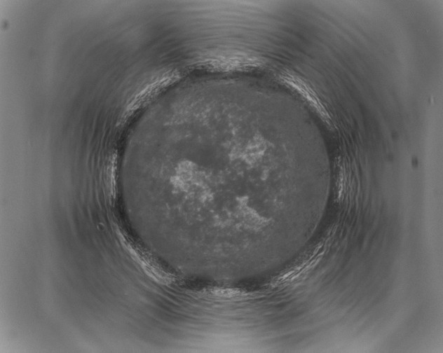 X0000087670590200705181707