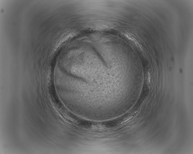 X0000087670591200705181707