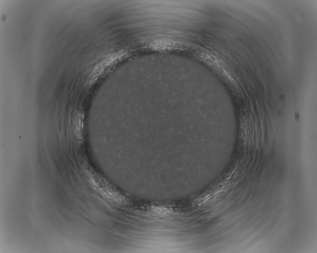 X0000087670592200705181707