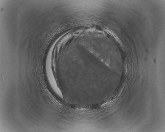 X0000087670593200705181707