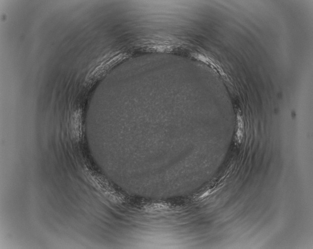 X0000087670594200705181707