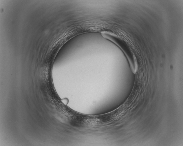 X0000087670595200705181706