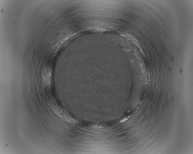 X0000087670596200705181706