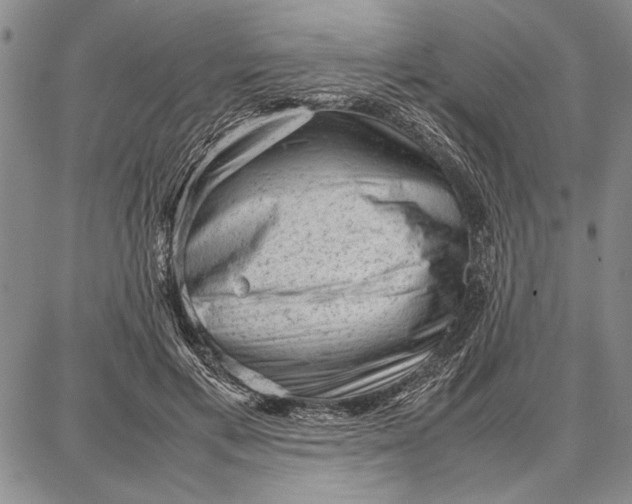 X0000087670597200705181706