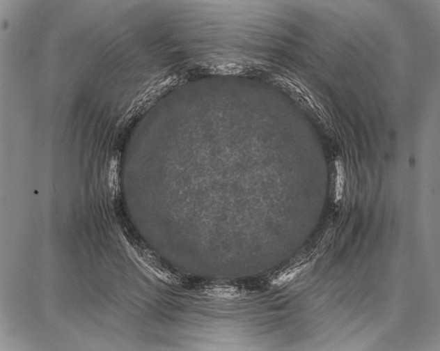 X0000087670598200705181706