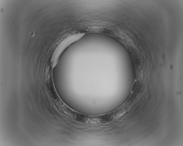 X0000087670599200705181706