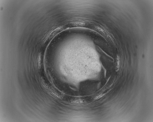 X0000087670600200705181706