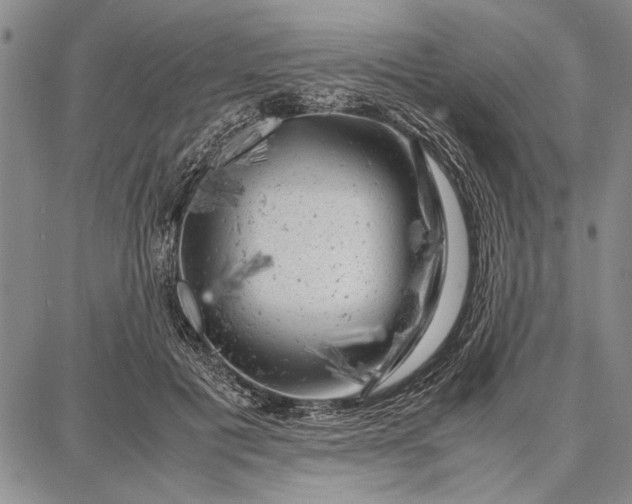 X0000087670601200705181706