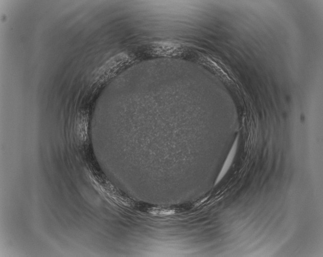 X0000087670602200705181706